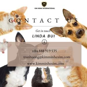 Harina de Pescado Premium en Polvo, Alto Contenido Proteico, Ingrediente para Alimentación Animal y Acuícola, Kim Minh International, 12 Meses de Vida Útil - Product Image 4