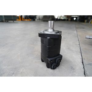 0208020063 motori idraulici - Product Image 2