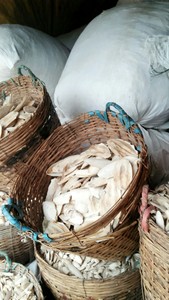 Os de seiche en gros, morceaux entiers ou brisés, 100% pur, séché au soleil, riche en calcium, exportateur du Vietnam 23 - Product Image 5