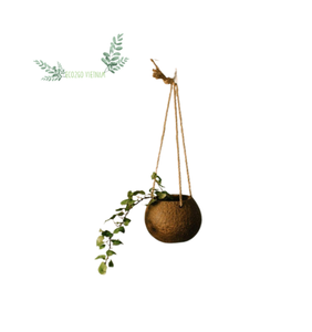 Sustainable Coconut <b>Shell</b> Pot Plant - Natural Coconut Flower Pot - Coconut Hanging Pots Gardening Supply By Eco2go Vietnam - Product Image 5