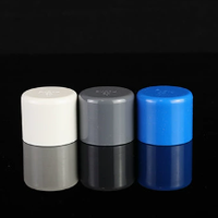 Bouchon d'extrémité en PVC épaissi, capuchon de protection pour tuyau d'alimentation en eau, raccord de conduit, vente en gros