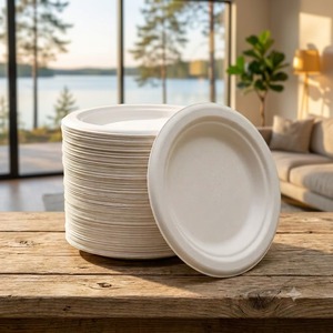 Assiette en bagasse de 6 pouces, 100% compostable, assiette ronde jetable pour collations, desserts et service de fête - Product Image 5