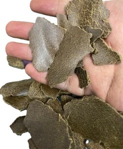 Harina de Mostaza de Excelente Calidad, Ingrediente de Alimento Rico en Proteínas Crudas para Ganado, Aves y Peces, Disponible a Buen Precio - Product Image 1