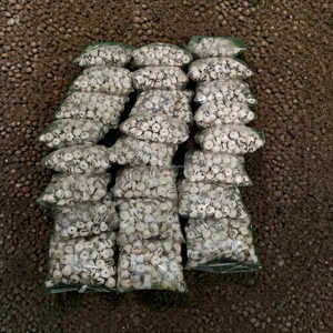 Perles en os de buffle blanc sculptées à la main, perles en os naturel de qualité supérieure pour la création de bijoux à prix avantageux - Product Image 2