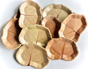 Platos Desechables Biodegradables de Hoja de Palma Areca Cuadrados al por Mayor - Product Image 4