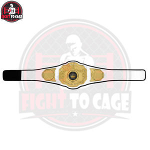 Meilleur fournisseur – Cuir blanc de haute qualité, finition brillante, léger, entièrement personnalisable – Nouvelle arrivée pour championnats d'arts martiaux - Product Image 4