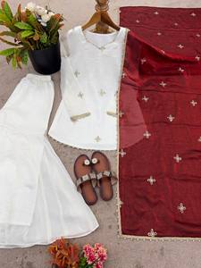 White Indian Pakistani Set Embroidered Long Sleeve Top Net Dupatta Velvet Border Festive Outfit - Product Image 4