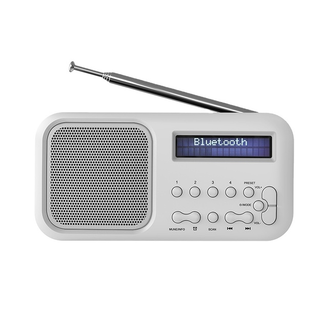 Cheap FM Radio Portable Pocket Radio Speaker Digital Screen with USB/TF/mp3 Player
