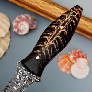 Couteau à huîtres en gros avec étui, outils pour fruits de mer, ouvre-coquillages, accessoires de cuisine, compatible micro-ondes - Product Image 2