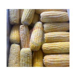 Maïs sucré de qualité supérieure d'Asie, surgelé naturellement IQF, pour la vente en gros et l'exportation internationale, en promotion. - Product Image 2
