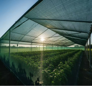 Warp Knitted Grass Green <b>Plastic</b> Shade <b>Net</b> with Cutting Service Made in India by FORTUNE AGRO <b>NET</b> - Product Image 3