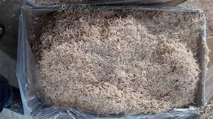 VENTE EN GROS STOCK DISPONIBLE CREVETTES POUR BÉBÉS/KRILLS SÉCHÉS/PETITES CREVETTES SÉCHÉES pour poisson tortue reptile nourriture pour animaux de compagnie - Product Image 4