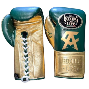 ราคาขายส่ง RTS คุณภาพสูง ถุงมือชกมวย Pro Fighting No Boxing No Life หนังแท้ กันลื่น สำหรับฝึกซ้อม รุ่น AS-BG-5052 - Product Image 1