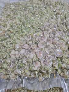 Frozen <b>Lemongrass</b> Stalks Premium Quality Wholesale <b>Vietnam</b> - Product Image 3