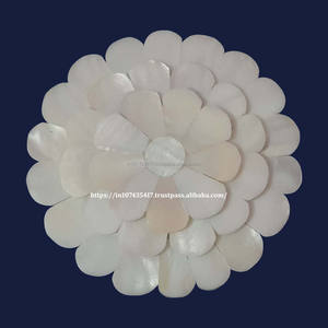 Gran oferta, espejo blanco de concha de mar de nácar para obsequios de Acción de Gracias, espejos de nácar para listo para enviar - Product Image 3