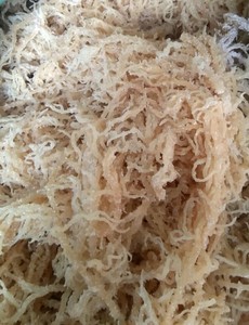 Algues Nori aromatisées séchées au soleil de qualité supérieure, Blue Lotus Khanh Hoa Vietnam, sac de 5-10 kg, vente en gros, export - Product Image 4