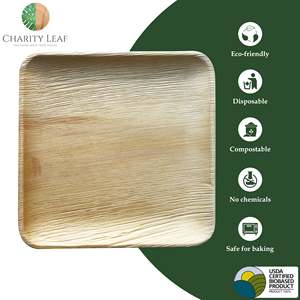 Piatto Quadrato in Foglia di Palma Naturale da 12 Pollici, Elegante Stoviglie per Feste e Decorazione Tavola - Product Image 5