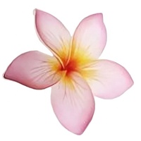Produk Laris dari Thailand Bunga Busa Plumeria Frangipani dengan Cetakan Unik Aksesoris Fashion (Paket 100 Buah)