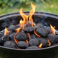 Charbon de bois instantané léger pour barbecue, briquettes de charbon de bois en forme de coussin, durables et fonctionnelles, vente en gros directe usine