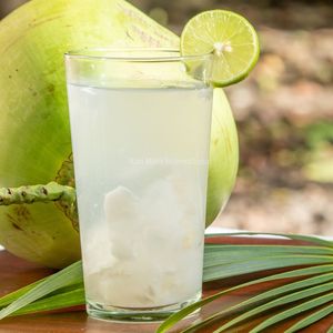 Coco Fresco Joven de Vietnam, Calidad de Exportación, Suministro a Granel - Product Image 4