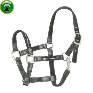 คุณภาพสูงขนาด Equestrian Horse Halter - Product Image 4