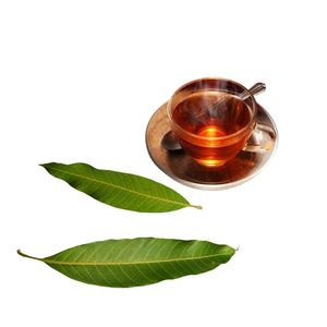 Feuilles de mangue séchées naturelles, thé en vrac pur de mangue, offre spéciale, prix abordable, 5OZ 10OZ 12OZ, emballage personnalisé sous vide de feuilles de mangue - Product Image 3