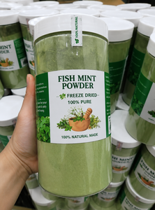 Polvo de Houttuynia Liofilizado Premium de Vietnam, Suministro a Granel para Fabricantes de Bebidas y Procesamiento de Alimentos - Product Image 4