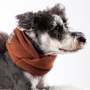 Sciarpa Invernale Pesante Lavorata a Maglia per Cani - Abbigliamento per Animali Domestici - Product Image 6