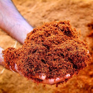 Bulk Cocopeat Premium Natural Growing <b>Medium</b> for Gardening Hydroponics Potting Mix and Global Wholesale Supply - Product Image 3