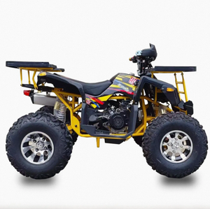 Quad Chithan DIY 200cc 4 temps pour adultes 2026, transmission automatique 2WD/4WD commutable, plastique, garantie 3 ans - Product Image 6