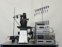 Plataforma Programable de Aplicación de Fármacos de 8 Líneas para Estudios de Electrofisiología e Imágenes de Calcio