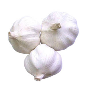 Ajo Fresco Premium con sabor natural, ajo fresco perfecto para suministro al por mayor y entrega de alta calidad - Product Image 2