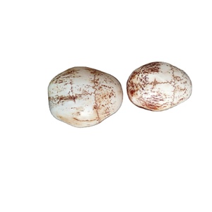 Ensemble d'autels Butsudan bouddhistes japonais authentiques, bol d'offrande Kapala, esthétique zen minimaliste pour les rituels quotidiens du riz et de l'eau - Product Image 1