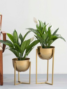 Jardinière en fer avec support en fer forgé, décoration de jardin extérieure, conteneur pour plantes pour balcon et terrasse - Product Image 6
