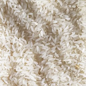 ข้าวหอมมะลิเวียดนามสดใหม่ ข้าวโซนา มาซูริ คาลโรส เมล็ดกลาง เนื้อเหนียว สำหรับร้านอาหาร ขายส่ง - Product Image 2
