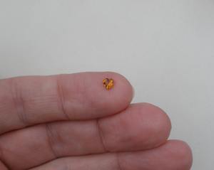 Citrino Natural en Forma de Corazón, Gema Suelta Natural de 4mm, Certificado por Terceros, Efecto Estrella para Joyería - Product Image 5