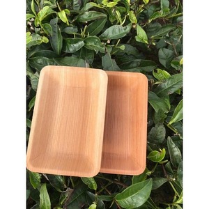 Biodegradable Compostable Square Palm Leaf Classic Picnic Set <b>Disposable</b> Camping <b>Plates</b> and Bowls-Macy - Product Image 3
