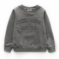 Nuevo 2024 fábrica OEM Unisex en blanco de gran tamaño 3D en relieve sudadera peso pesado personalizado cuello redondo 3D en relieve Sudadera con capucha