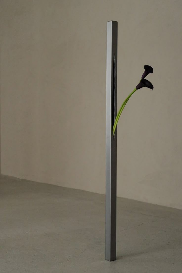 COMME ILLUSTRÉ