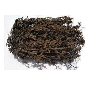 Hojas de hierba negra natural deshidratadas para procesamiento alimentario, proveedor vietnamita confiable, gran cantidad disponible - Product Image 5