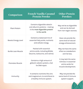 Proteína de Cáñamo Orgánica HP Valia, Sabor Vainilla Francesa, 500 g, Venta al por Mayor, Exportación a India (Gujarat), Cruda y Natural, 12 Meses de Caducidad - Product Image 3