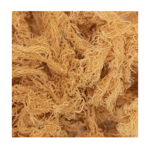 Alga Cottonii Seca de Vietnam, Suministro Directo de Fábrica para Procesamiento de Carragenano, Exportación a Granel - Product Image 1