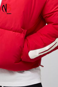 Chaqueta de Plumón Acolchada para Hombre, Diseño Nuevo, Cuello Tipo Camisero, Resistente al Viento, Cálida para Invierno, con Bolsillos, Marca OEM, Superventas - Product Image 6