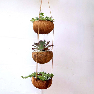 Coco shell plant pot wholesale price coconut <b>planters</b> <b>large</b> flower pots hand-crafted <b>planter</b> - Product Image 1