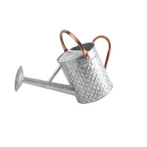 Arrosoir en métal galvanisé pour plantes d'intérieur et d'extérieur, arrosoir vintage avec bec de pulvérisation amovible et poignées couleur cuivre - Product Image 1