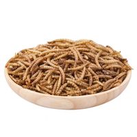 Sino Crown Offre Spéciale Vers de farine séchés riches en protéines pour l'alimentation animale