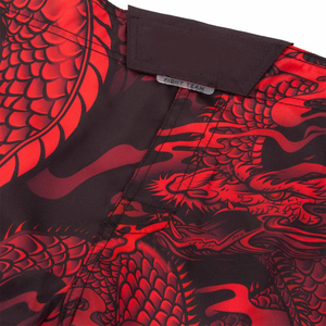 Pantalones Cortos de BJJ Sin Gi, Elásticos en Cuatro Direcciones, de Secado Rápido, Ligeros, para Entrenamiento de Grappling, MMA, Lucha, Boxeo, Kickboxing, Diseño Deportivo - Product Image 3