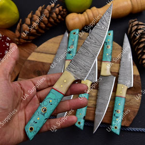 ชุดมีดสเต็กทำมือเกรดอุตสาหกรรม DIY เหล็กดามัสกัสสำหรับมืออาชีพ ชุดมีดสำหรับรับประทานอาหารกลางแจ้ง บาร์บีคิว มีดปอกผลไม้ OEM UA - Product Image 5