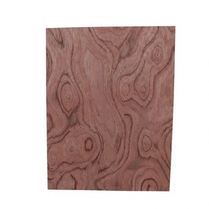 Panneaux en placage d'ébène découpé rotativement, écologiques, 2500x640mm, qualité durable pour meubles et portes - Product Image 1