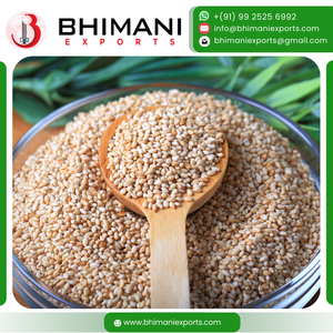 Semillas de Sésamo Naturales, Color Negro y Marrón Dorado, Secas, Suministro para Exportación, Empaque a Granel para la Industria de Alimentos Saludables y Nutracéuticos - Product Image 2